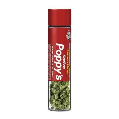 Sweet Tangie | 3.5 Gram Black Label Flower | STIIIZY